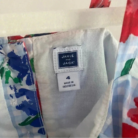 Janie and Jack, Size 4T, Blue Gingham Red Flower Dress - Picture 3 of 6